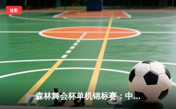 森林舞会杯单机锦标赛：中国新星李昊逆转夺冠创赛事纪录